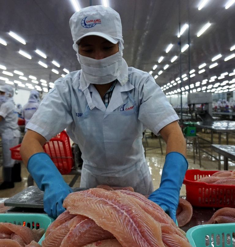 Cá tra xuất khẩu vào thị trường Trung Quốc giảm gần 30%