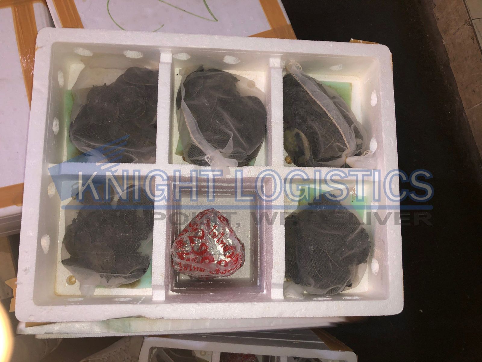 Thủ tục nhập khẩu động vật sống knight logistics