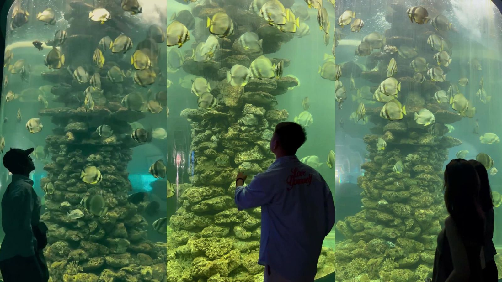 DU LỊCH NHA TRANG NE