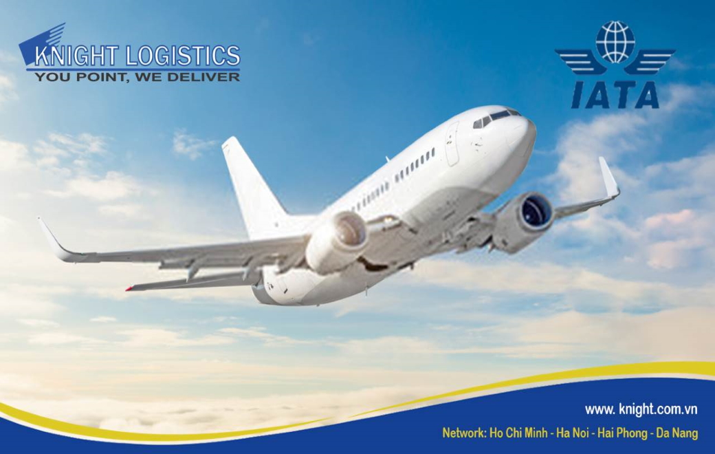 Hiệp hội vận tải hàng không quốc tế (IATA)