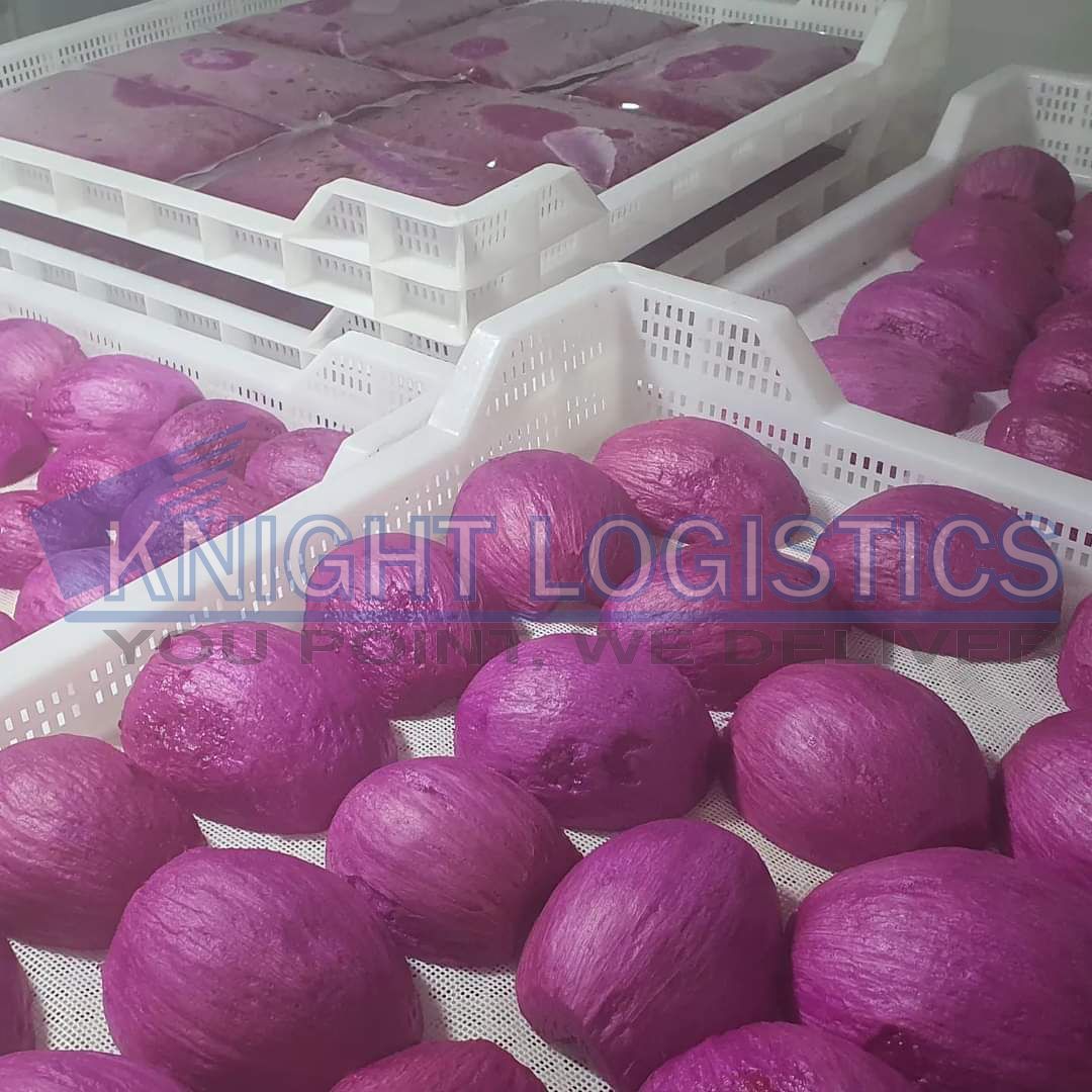 Thanh long đông lanh Knight Logistics
