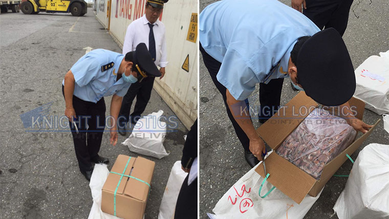 thủ tục nhập khẩu mực đông lạnh