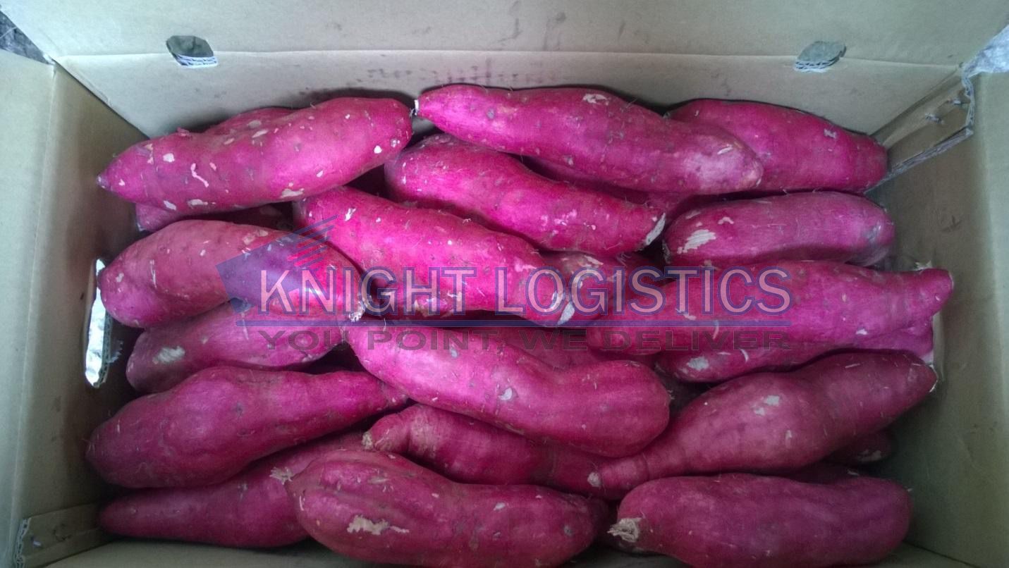 Xuất khẩu nông sản Knight Logistics